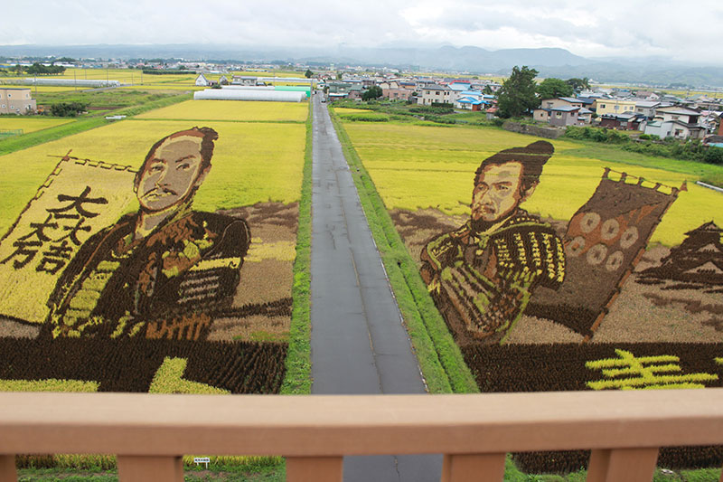 田んぼアート