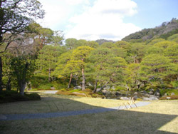 壮大な背景をバックにした見事な庭園