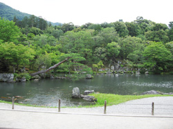 曹源池　庭園