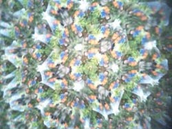 ビー玉万華鏡 まなちゃん(5歳)作