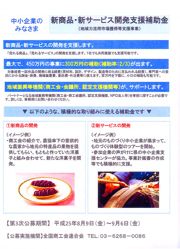 新商品・新サービス開発支援補助金