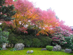 天徳院